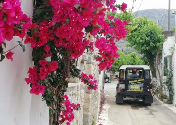 Adventure Safari Cretan Life and Cooking Lessons