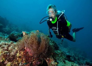 Discover Scuba Diving