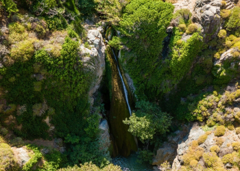 Hidden Gems – Richtis Gorge for nature lovers!
